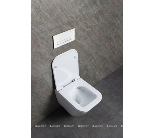 Унитаз подвесной Allen Brau Liberty 3 Tornado без сиденья 490х360 мм 4.33012.20