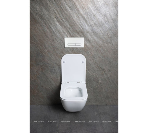 Унитаз подвесной Allen Brau Liberty 3 Tornado без сиденья 490х360 мм 4.33012.20