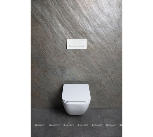 Унитаз подвесной Allen Brau Liberty 3 Tornado без сиденья 490х360 мм 4.33012.20