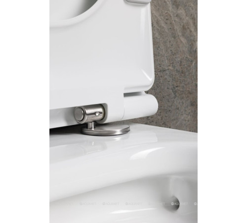 Унитаз подвесной Allen Brau Liberty 3 Tornado без сиденья 490х360 мм 4.33012.20