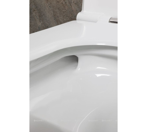 Унитаз подвесной Allen Brau Liberty 3 Tornado без сиденья 490х360 мм 4.33012.20