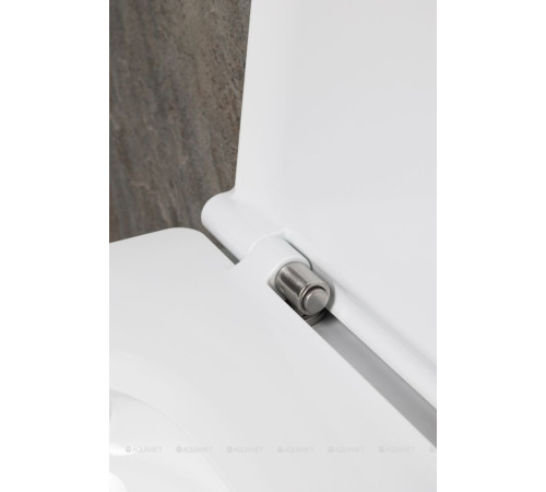 Унитаз подвесной Allen Brau Liberty 3 Tornado без сиденья 490х360 мм 4.33012.20