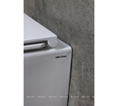 Унитаз подвесной Allen Brau Liberty 3 Tornado без сиденья 490х360 мм 4.33012.20