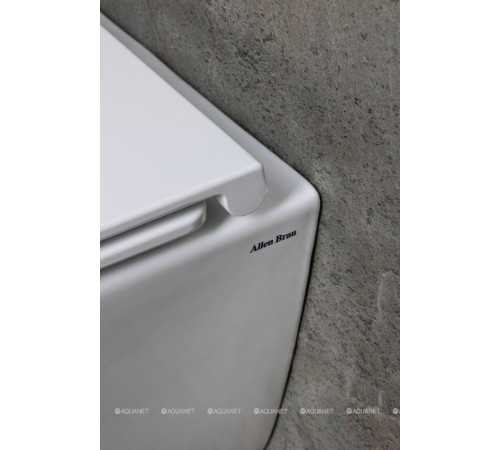 Унитаз подвесной Allen Brau Liberty 3 Tornado без сиденья 490х360 мм 4.33012.20