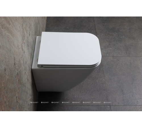 Унитаз подвесной Allen Brau Liberty 3 Tornado без сиденья 490х360 мм 4.33012.20