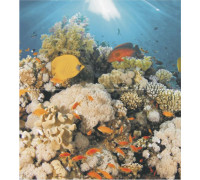 Декор панно Ceradim Corals (из 2-х шт) 50х45 см х9999019818