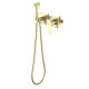 Комплект для гигиенического душа встроенный Aquanet Oberon шлифованное золото AQ1220BG