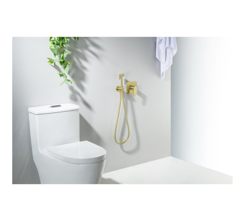 Набор с гигиеническим душем Aquanet Oberon со смесителем шлифованное золото AQ1219BG