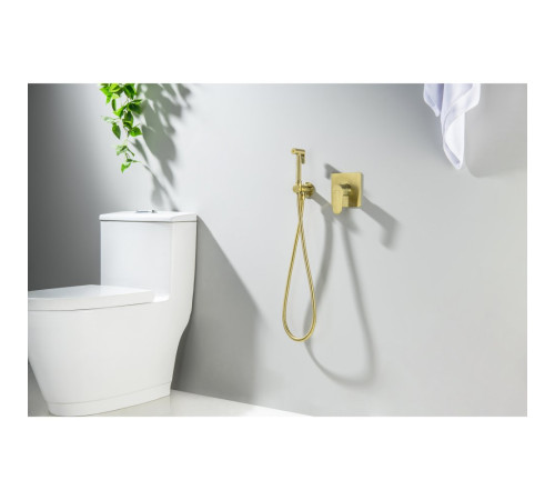 Набор с гигиеническим душем Aquanet Oberon со смесителем шлифованное золото AQ1219BG