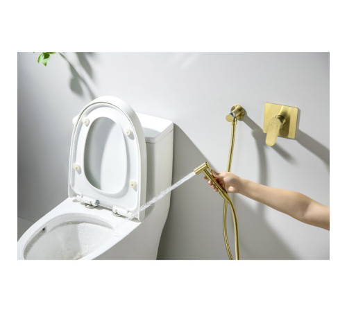 Набор с гигиеническим душем Aquanet Oberon со смесителем шлифованное золото AQ1219BG