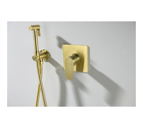 Набор с гигиеническим душем Aquanet Oberon со смесителем шлифованное золото AQ1219BG