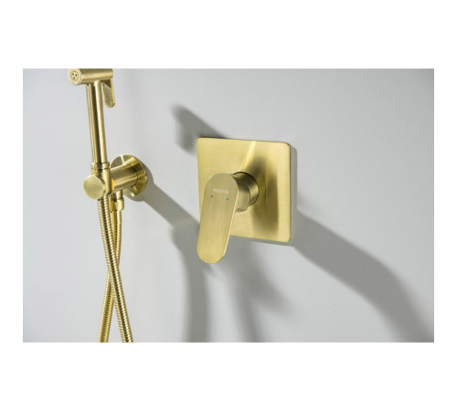 Набор с гигиеническим душем Aquanet Oberon со смесителем шлифованное золото AQ1219BG