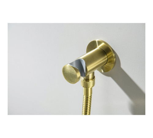 Набор с гигиеническим душем Aquanet Oberon со смесителем шлифованное золото AQ1219BG