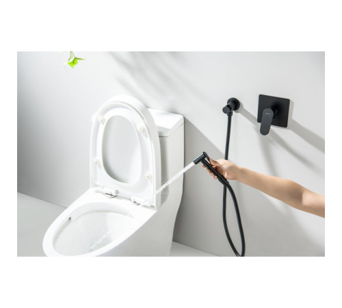 Набор с гигиеническим душем Aquanet Oberon со смесителем матовый черный AQ1219MB