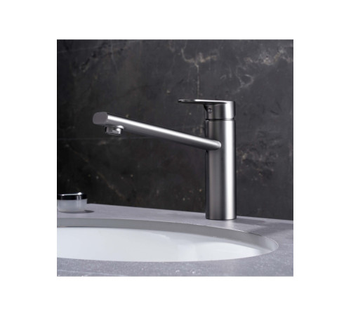 Смеситель для кухни Aquanet Ника оружейная сталь AQ1880BGM