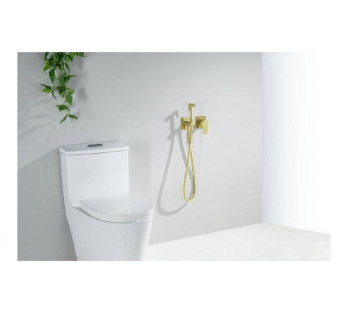 Комплект для гигиенического душа встроенный Aquanet Oberon шлифованное золото AQ1220BG