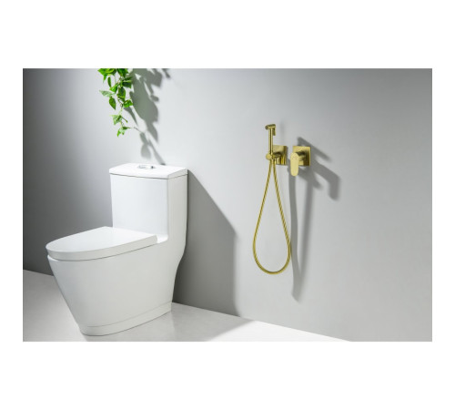 Комплект для гигиенического душа встроенный Aquanet Oberon шлифованное золото AQ1220BG