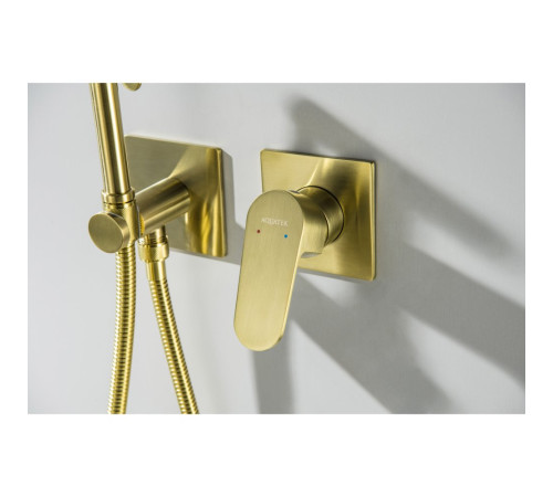 Комплект для гигиенического душа встроенный Aquanet Oberon шлифованное золото AQ1220BG