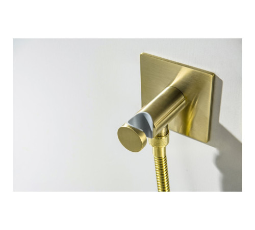 Комплект для гигиенического душа встроенный Aquanet Oberon шлифованное золото AQ1220BG