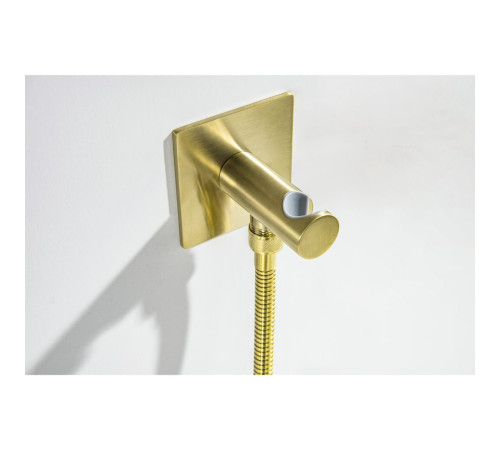 Комплект для гигиенического душа встроенный Aquanet Oberon шлифованное золото AQ1220BG