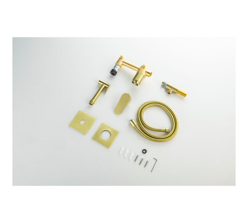 Комплект для гигиенического душа встроенный Aquanet Oberon шлифованное золото AQ1220BG