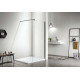 Душевая перегородка Aquanet Walk In WIW 08020GM 800x2000 мм с держателем оружейная сталь AQ WIW 08020GM
