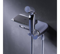 Смеситель с гигиеническим душем и полкой встраиваемый AM.PM Func F0H8F900