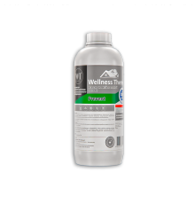 Реагент для пассивации Wellness Therm PREVENT 1 л PREVENT 1л.