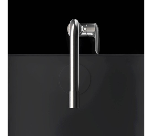 Смеситель для кухни AM.PM Like с каналом для питьевой воды L-излив сатин F8005711