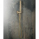 Душевой гарнитур Gessi Anello с держателем и подводом воды Brushed Brass PVD 63329#727