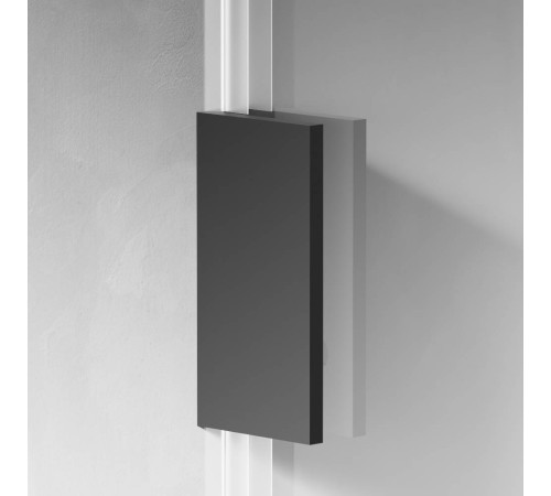 Душевая перегородка AM.PM Walk In 100х195 см W94WI-100-F1-BTE