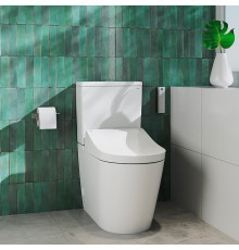 Унитаз-моноблок TOTO RP безободковый 38х70х43 см белый CW561Y#XW/SW561DY#W