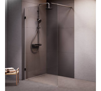 Душевая перегородка AM.PM Walk In 110х195 см W94WI-110-F1-BTE