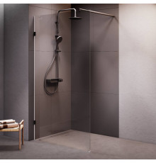 Душевая перегородка AM.PM Walk In 110х195 см W94WI-110-F1-BTE