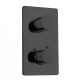 Термостат для душа Bossini Oki встраиваемый с девиатором черный Z00002.073