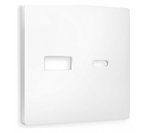 Накладка для розетки type A и C Ambrella Volt Quant AP1310