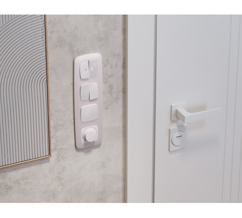 Выключатель перекрестный двухклавишный без рамки Ambrella Volt OMEGA MO103030