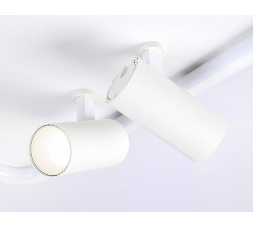 Накладной светильник Ambrella Light FL FL5114