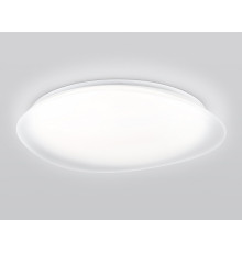 Накладной светильник Ambrella Light ORBITAL FZ1615