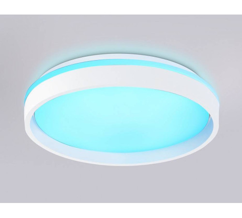 Накладной светильник Ambrella Light FZ FZ601