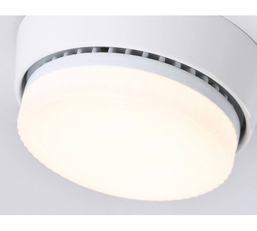 Накладной светильник Ambrella Light G G10188