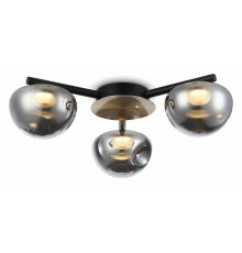 Потолочная люстра Ambrella Light LH LH12006