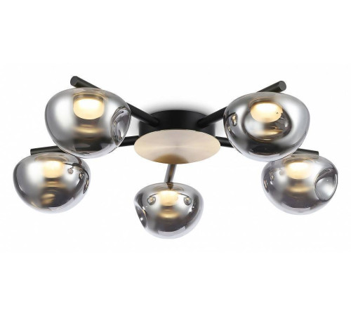 Потолочная люстра Ambrella Light LH LH12009