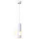 Подвесной светильник Ambrella Light TN TN5106
