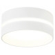 Накладной светильник Ambrella Light TN TN5388