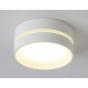 Накладной светильник Ambrella Light TN TN5388
