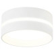 Накладной светильник Ambrella Light TN TN5388