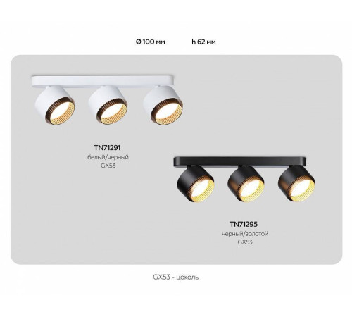 Спот Ambrella Light TN TN71295