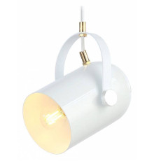 Подвесной светильник Ambrella Light TR TR8205
