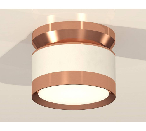 Накладной светильник Ambrella Light XS XS8101065